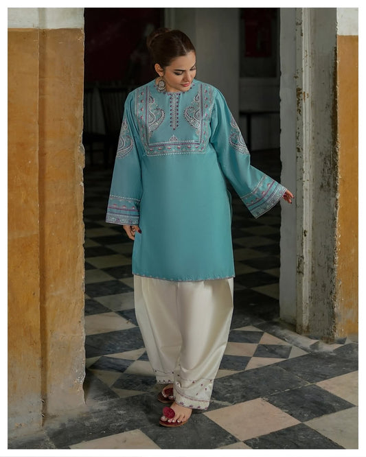 Stylish and Classic Embroidered-2 Piece Suit (ZOK-01701)